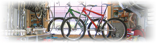 Ventana Mountain Bikes in Dreamride Windown