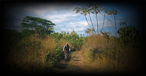 hawaiian pig hunter ride.