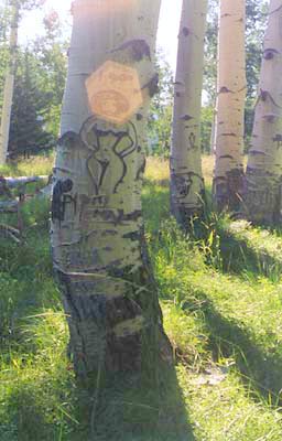 Tree carving.