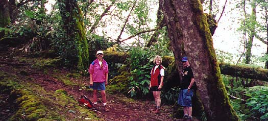 Kohala canal hike