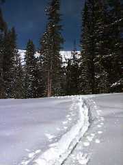 Geyser Pass Snow